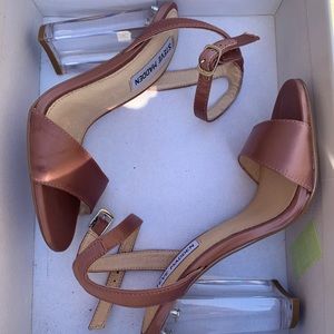 Steve Madden mauve clear heel